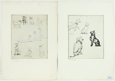 dog-studies-and-studies-of-young-girls