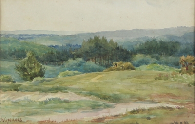 new-forest