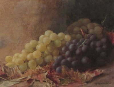 still-life-of-grapes