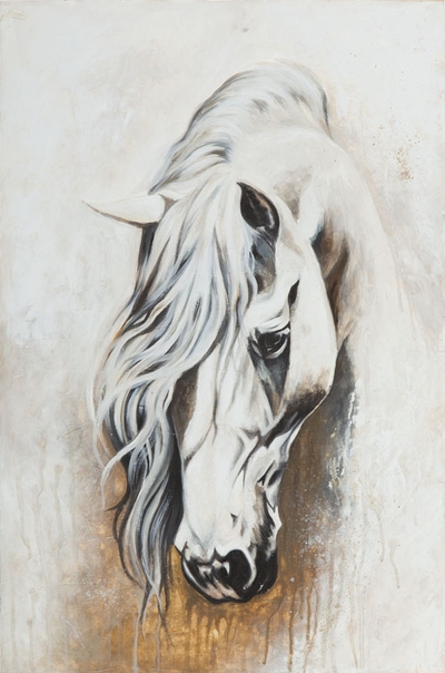 andalusian-stallon