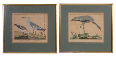 a-set-of-eight-bird-engravings-from-l-histoire-des-oiseaux