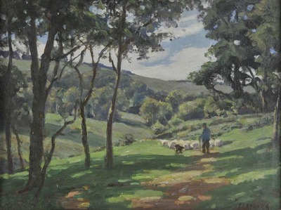 sunlit-landscape-with-sheep
