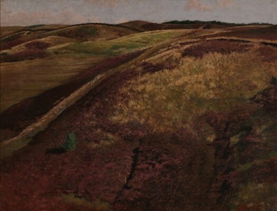 view-over-a-hilly-moor-svanninge-bakker