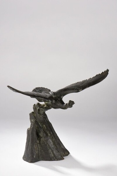 le-condor-prenant-son-envol