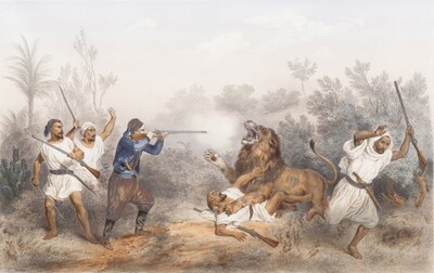 la-chasse-aux-lions
