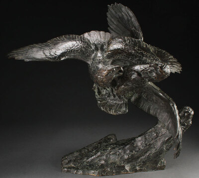 combat-d-aigles-eagles-in-combat