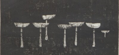 unknown