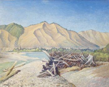 kootenay-valley-at-waldo-bc