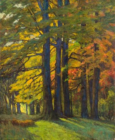 study-of-trees