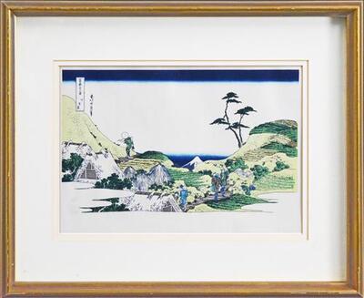 rice-fields