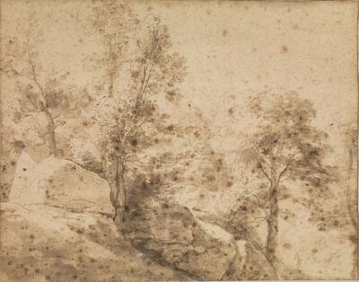 paesaggio-con-alberi-e-rocce