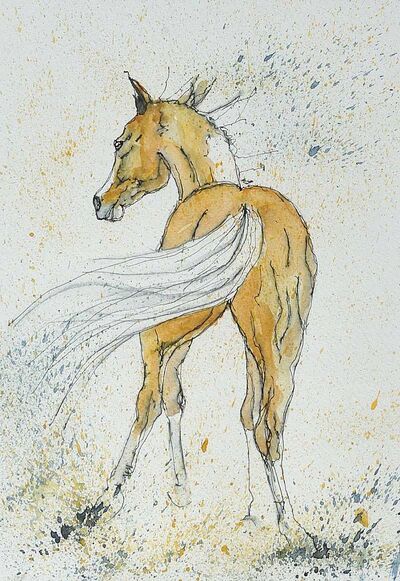 palomino-pony