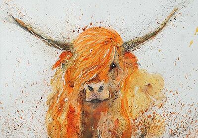 highland-cow