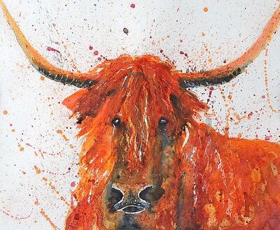 highland-cow
