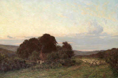 herding-sheep