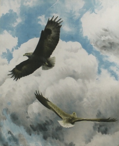 a-lithographic-print-of-flying-eagles