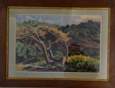 paysage