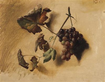 a-study-of-a-vine