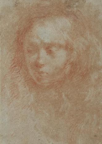 head-study