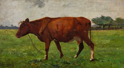 une-vache-vue-de-profil-dans-un-paysage