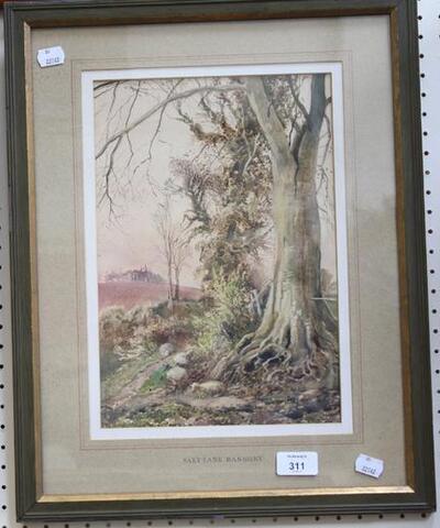 salt-lane-banbury-recumbent-sheep-beneath-a-mature-beech