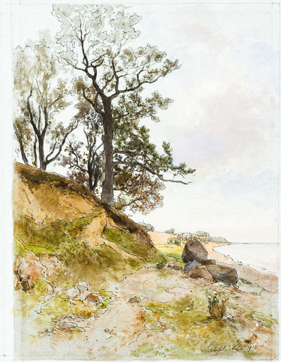 ostseeinsel-vilm-ostseekuste-mit-kraftiger-buche-und-findlingen-am-strand-landschaft-mit-weidenden-kuhen-und-baumgruppe