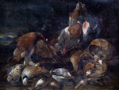 oiseaux-morts