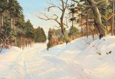 a-snow-covered-forest-road