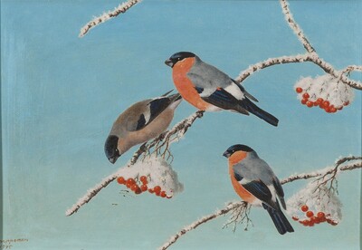 bullfinch