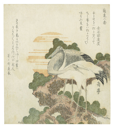 two-cranes-on-a-pine-branch-before-the-sun