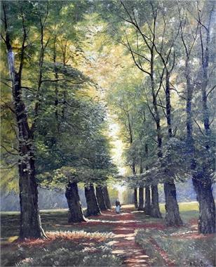 walk-in-the-woods