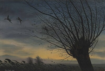 teal-on-a-windy-evening