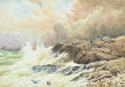 marine-scene