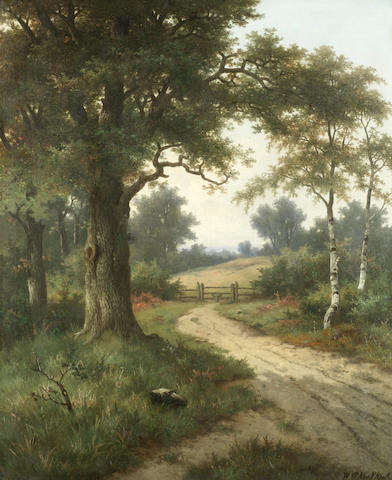 the-woodland-track-a-pair-2