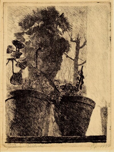 vaso-in-controluce