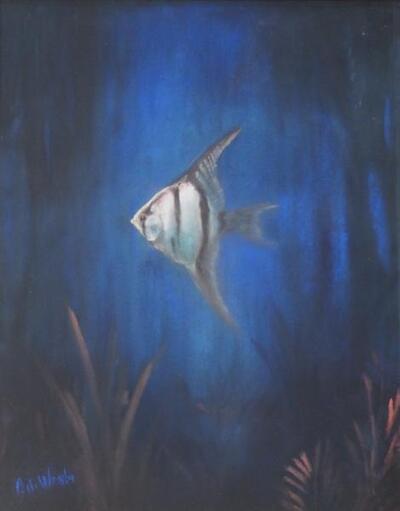 vue-sous-marine-au-scalaire