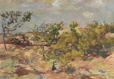 paysage-du-midi