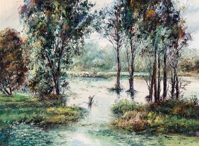 the-swamp-opelusas-louisiana
