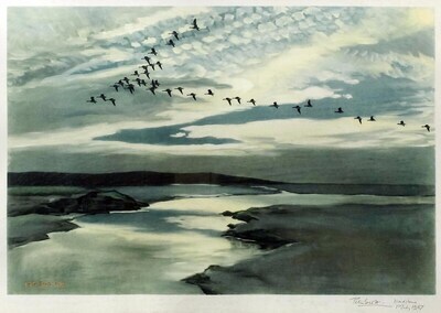 evening-geese-in-flight-over-river-estuary
