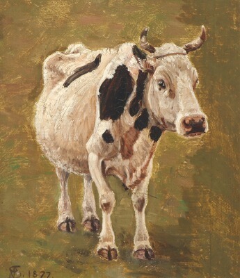 a-cow
