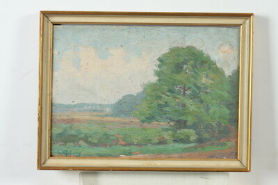spring-landscape