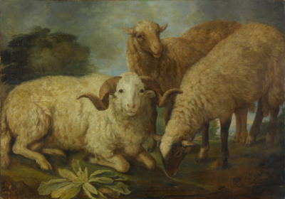a-ram-and-two-sheep-resting-in-a-landscape