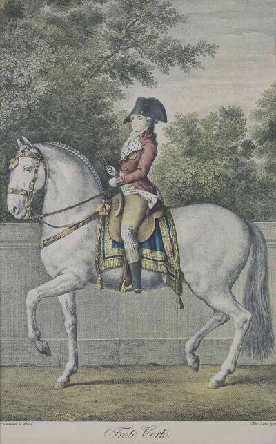 short-trot-and-field-gallop