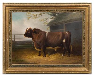 portrait-of-a-bull