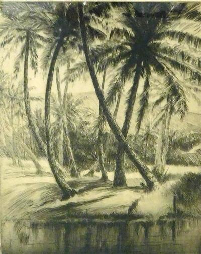 kauai-coconuts