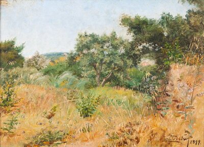 landscape