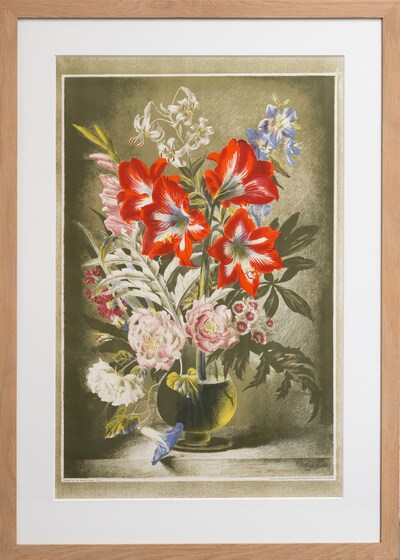 striped-lily