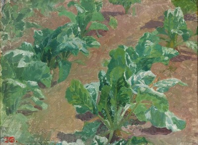 studie-til-roelugere-study-for-the-turnipfarmers