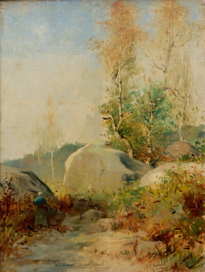 landschap-met-berkenbomen-en-keien