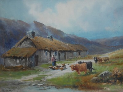 highland-cattle